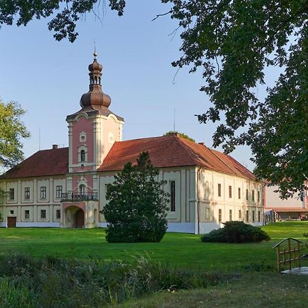 Penzion Zamek Lesany Netvořice Exteriör bild