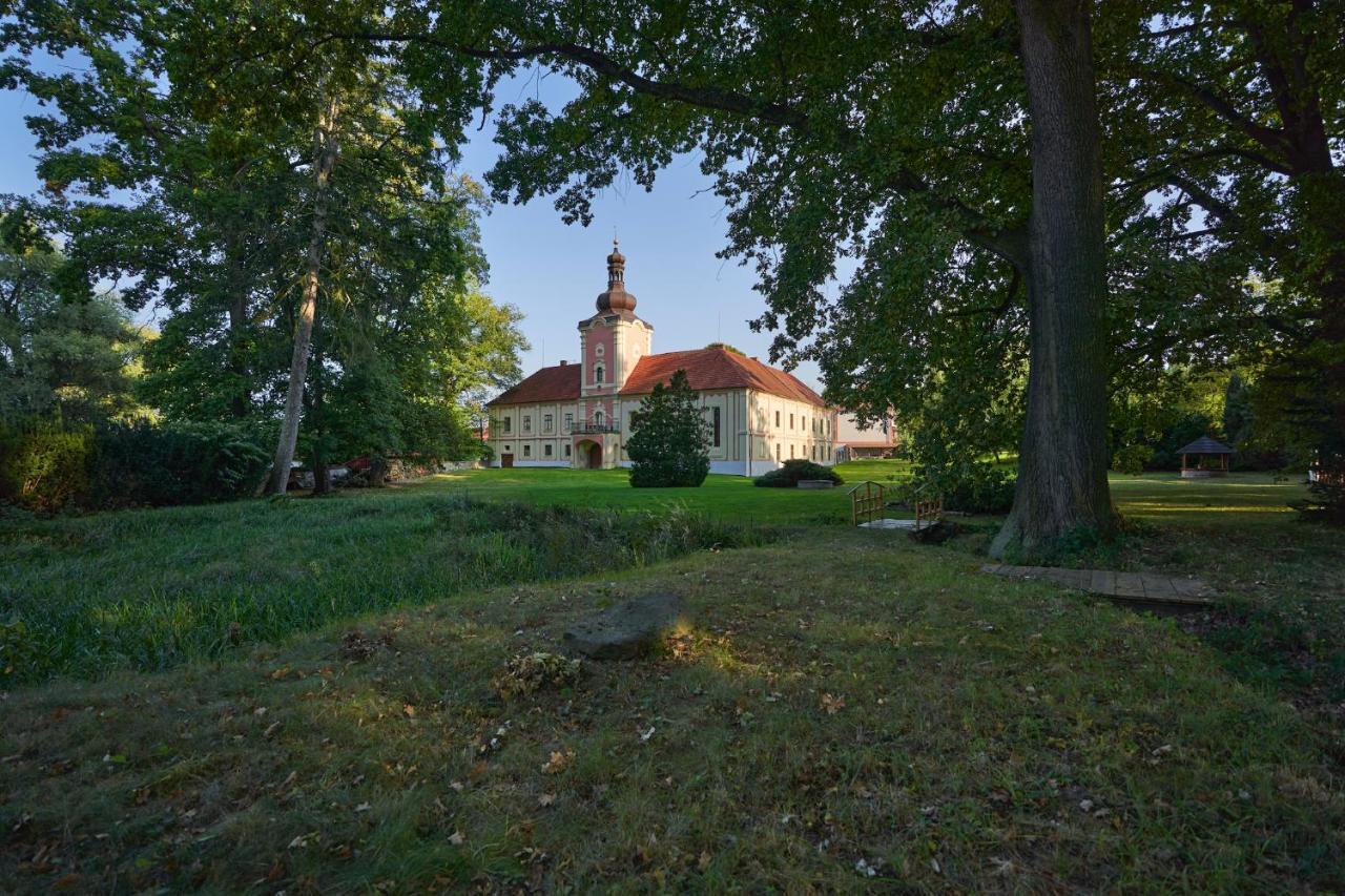 Penzion Zamek Lesany Netvořice Exteriör bild