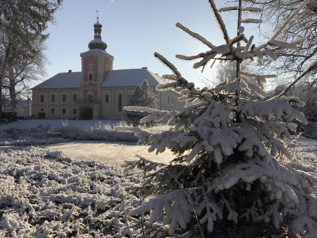 Penzion Zamek Lesany Netvořice Exteriör bild